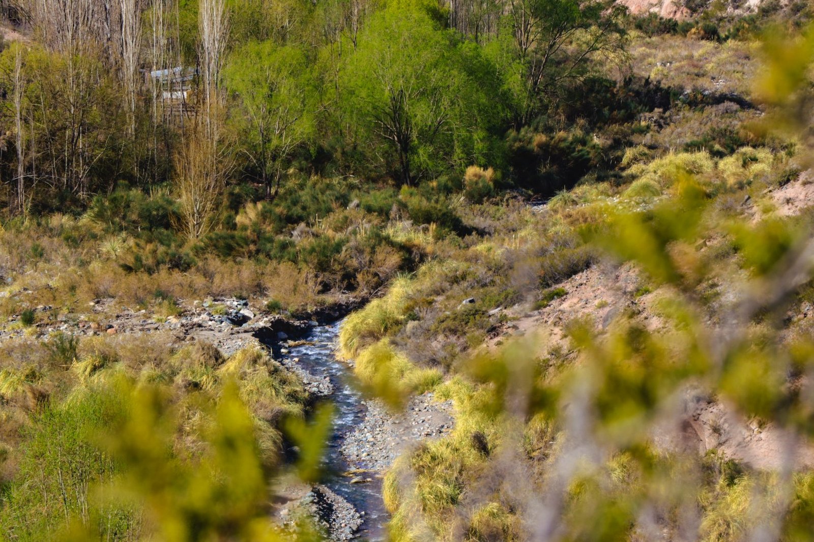 Reserva natural Pircas